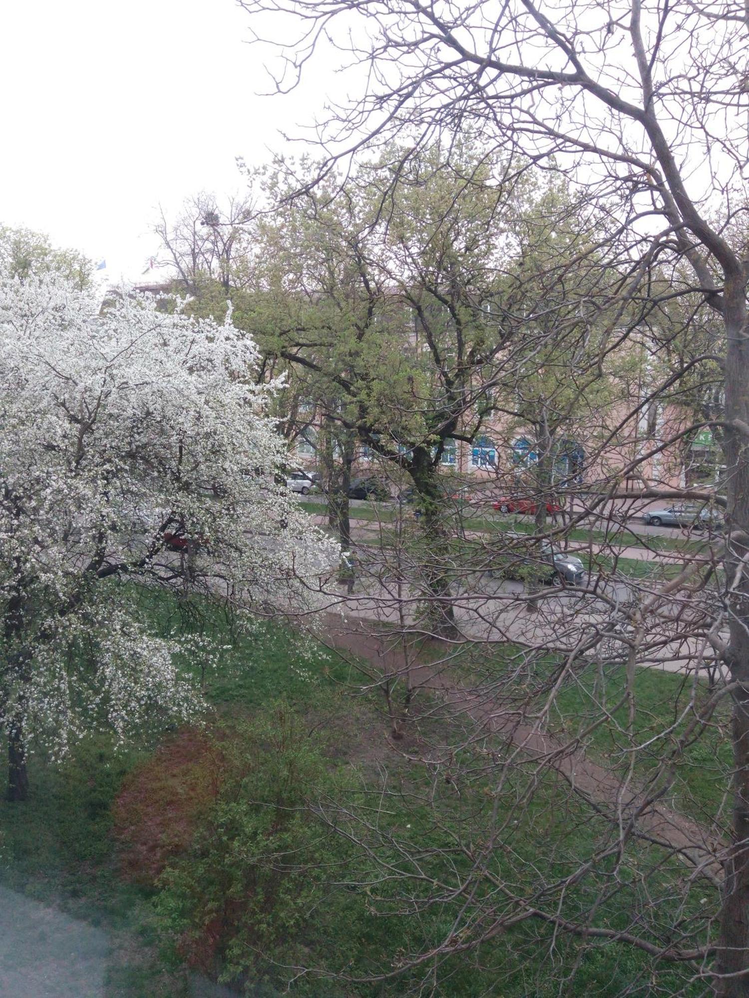 Квартира Студія В Центрі Міста Філармонія Khmelʼnytsʼkyy エクステリア 写真